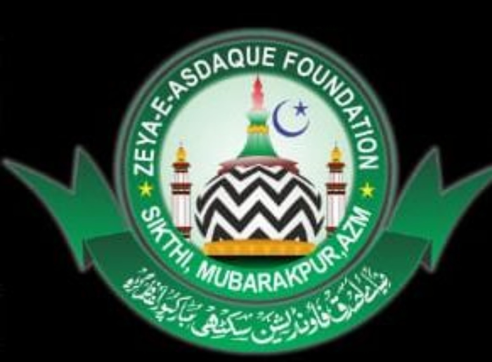 ZEYA E ASDAQUE FOUNDATION logo